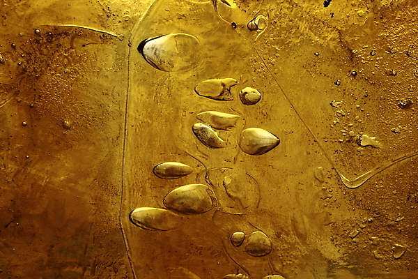 포토 JPG 해외이미지 벽 파도 백그라운드 오렌지 비즈니스 벽지 미술 사람없음 장식 빛 태양 갈색 노란색 웹 흐름 에너지 수확 덮개 축하 질감 웨이브 역동적 부드러움 마법 블러 엘리먼트 스타일 효과 해외202004 해외포토 자연요소 바다 컬러 컨셉 농업 인터넷 과일 문화예술 뚜껑 감각 파일형식 이미지허브