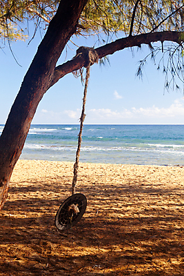 포토 JPG 해외이미지 행복 밧줄 모래 바다 섬 여행 자연 하늘 휴가 휴식 사람없음 야외 목재 파란색 햇빛 태양 평화 맑음 침묵 활발 흰색 나뭇가지 그네 이국적 파라다이스 해외202004 해외포토 자연요소 나무 감정 줄 컬러 컨셉 재료 날씨 소리 생태계 파일형식 이미지허브
