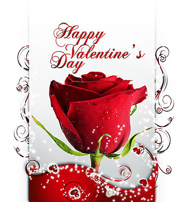 포토 JPG 해외이미지 손 행복 별 사랑 사람없음 빨간색 장미 희망 신용카드 열정 초대 소원 해외202004 해외포토 자연요소 꽃 감정 컬러 신체부위 금융 파일형식 이미지허브