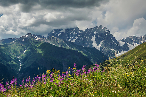포토 JPG 해외이미지 나무 구름 디자인 계절 꽃 실루엣 유럽 길 여행 자연 벽지 하늘 아침 휴가 휴식 산 풍경 사람없음 야외 목재 가로 여름 파란색 일출 계곡 침묵 자유 안개 바위 오스트리아 정상 숲 스위스 언덕 명상 빙하 알프스 내추럴 웅장함 절정 해외202004 해외포토 주간 자연요소 식물 나라 컬러 컨셉 재료 날씨 촬영기법 노을 소리 돌_바위 생태계 파일형식 이미지허브