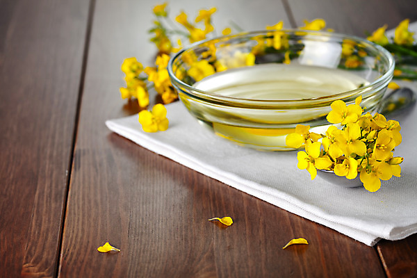 포토 JPG 해외이미지 식물 꽃 백그라운드 잎 꽃무늬 자연 유리 씨앗 사람없음 목재 초록색 노란색 숟가락 벚꽃 신선 조미료 사발 황금 허브 유채 유기농 내추럴 채식주의자 카놀라 해외202004 해외포토 나무 웰빙 컬러 무늬 재료 재질 수저 사기그릇 생태계 채식 향미료 파일형식 이미지허브