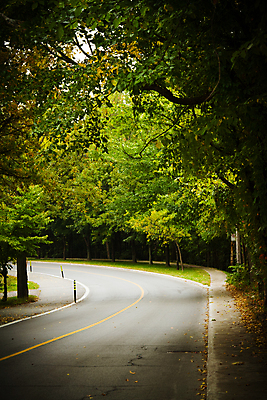 포토 JPG 해외이미지 나무 식물 도로 길 잎 곡선 교통시설 자동차 그림자 풍경 사람없음 야외 초록색 여름 빛 어둠 나뭇가지 고속도로 숲 아스팔트 루트 해외202004 해외포토 계절 선 육상교통 컬러 교통 시설 파일형식 이미지허브