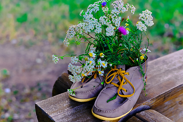 포토 JPG 해외이미지 식물 꽃 분홍색 꽃다발 신발 잎 꽃무늬 자연 사람없음 초록색 여름 컬러풀 소풍 노란색 정원 꽃병 봄 산책 벚꽃 가을 흰색 신선 냄비 시골집 원예 데이지 고립 해외202004 해외포토 계절 컬러 무늬 휴식 주택 취미 야외활동 솥 생태계 파일형식 이미지허브
