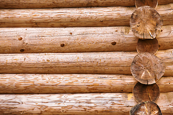 포토 JPG 해외이미지 나무 디자인 외관 벽 백그라운드 패턴 자연 표면 추상 주택 프레임 미술 사람없음 목재 장식 가로 갈색 우주 어둠 수확 시골 소나무 판넬 널 오두막 질감 복고 통나무 호두 내추럴 외양간 수목 엘리먼트 해외202004 해외포토 식물 컬러 무늬 농업 재료 문화예술 건물 견과류 생태계 파일형식 이미지허브