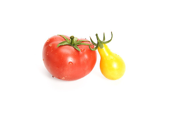 포토 JPG 해외이미지 음식 농업 다이어트 토마토 채소 건강 요리 사람없음 빨간색 여름 컬러풀 노란색 정원 수확 가을 흰색 신선 맛 내추럴 고립 채식주의자 비건 해외202004 해외포토 계절 산업 컬러 컨셉 채식 파일형식 이미지허브