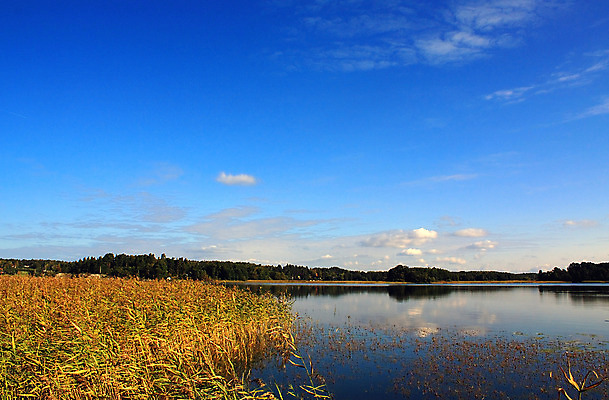 포토 JPG 해외이미지 나무 구름 호수 바다 여행 자연 하늘 휴가 따뜻함 스웨덴 풍경 사람없음 야외 초록색 물 파란색 빛 강 컬러풀 반사 우주 자유 가을 오픈 분위기 저녁 땅 내추럴 스칸디나비아 해외202004 해외포토 자연요소 식물 계절 컬러 컨셉 북유럽 야간 생태계 파일형식 이미지허브