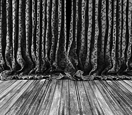 포토 JPG 해외이미지 템플릿 배너 꽃 백그라운드 꽃무늬 패턴 일러스트 추상 바닥 주택 미술 이벤트 사람없음 목재 장식 빛 검은색 어둠 공연 무대 수확 직물 커튼 클래식 우아함 극장 묘사 질감 복고 쇼 구김 옛날 오페라 벨벳 해외202004 해외포토 나무 식물 컬러 컨셉 무늬 농업 재료 모션 문화예술 건물 실크 파일형식 이미지허브