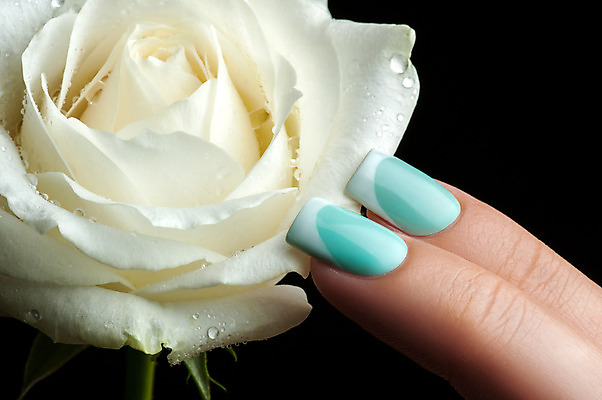 포토 JPG 해외이미지 손 손가락 미술 사람없음 장미 유행 화장품 손톱관리 손톱 데이지 돌봄 위생관리 아크릴 스타일 해외202004 해외포토 꽃 모션 재질 문화예술 관리 신체부위 뷰티 네일아트 파일형식 이미지허브