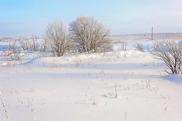 포토 JPG 해외이미지 주간 나무 겨울 자연 사람없음 야외 설원 겨울풍경 해외202004 해외포토 자연요소 식물 계절 눈_날씨 풍경 생태계 파일형식 이미지허브