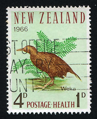 포토 JPG 해외이미지 야생동물 조류 사람없음 산책 빈티지 우표 키위새 해외202004 해외포토 동물 컨셉 휴식 파일형식 이미지허브