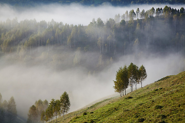 포토 JPG 해외이미지 나무 구름 계절 공원 여행 백그라운드 자연 하늘 아침 휴가 산 풍경 사람없음 야외 초록색 여름 파란색 빛 컬러풀 햇빛 태양 일출 환경 계곡 어둠 황혼 일몰 봄 새벽 안개 가을 흰색 시골 숲 언덕 장면 내추럴 뿌연 전국 절정 환상 해외202004 해외포토 주간 자연요소 식물 공공시설 컬러 컨셉 날씨 노을 생태계 파일형식 이미지허브