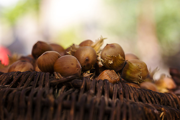 포토 JPG 해외이미지 식물 계절 음식 백그라운드 다이어트 과일 재료 자연 건조 건강 씨앗 사람없음 목재 갈색 노란색 쌓기 견과류 수확 껍질 가을 신선 그룹 맛 정상 오브젝트 유기농 질감 알맹이 날것 흙더미 내추럴 개암나무 식용 채식주의자 개암 비건 해외202004 해외포토 나무 웰빙 열매 컬러 컨셉 농업 모션 흙 생태계 채식 파일형식 더미 이미지허브