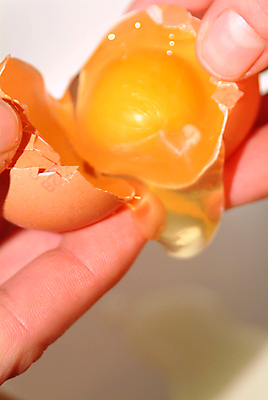 포토 JPG 해외이미지 어린이 음식 다이어트 재료 주택 패스트푸드 요리 사람없음 노란색 주방 식당 계란 식사 저녁식사 흰색 신선 닫기 맛 폐기물 크림 향신료 속도 후추 노른자 마요네즈 내추럴 해외202004 해외포토 컬러 컨셉 모션 건강 사람 건물 상점 알 소스_음식 인스턴트 쓰레기 향미료 파일형식 이미지허브