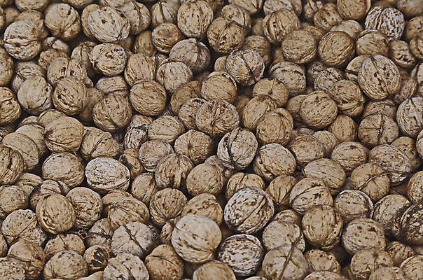 포토 JPG 해외이미지 나무 음식 다이어트 과일 재료 자연 건강 사람없음 목재 갈색 껍질 가을 유기농 질감 알맹이 날것 호두 칼로리 단백질 해외202004 해외포토 식물 웰빙 계절 컬러 견과류 생태계 영양소 파일형식 이미지허브