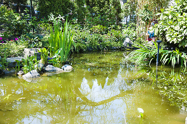 포토 JPG 해외이미지 나무 공원 잎 자연 따뜻함 사람없음 야외 목재 초록색 물 컬러풀 노란색 상점 맑음 봄 산책 나뭇가지 연못 신선 보행로 관목 만족 선로 해외202004 해외포토 자연요소 식물 계절 공공시설 감정 길 컬러 재료 날씨 휴식 생태계 파일형식 이미지허브