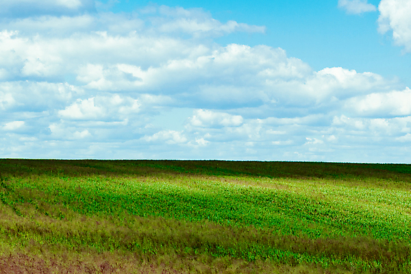 포토 JPG 해외이미지 식물 구름 계절 백그라운드 밭 농업 자연 하늘 날씨 풍경 잔디 사람없음 야외 초록색 여름 파란색 농작물 농장 환경 봄 흰색 시골 땅 장면 천국 내추럴 밭일 수평선 해외202004 해외포토 자연요소 산업 컬러 생태계 파일형식 이미지허브