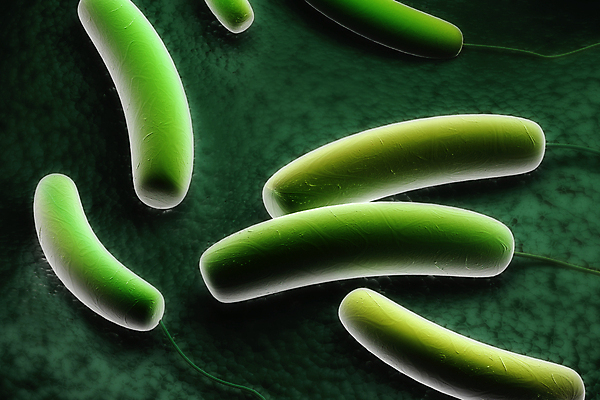 포토 JPG 해외이미지 과학 신체 일러스트 생물 세포 건강 현미경 사람 사람없음 3D 바이러스 질병 중개인 생물학 전자 감염 미생물 박테리아 기생충 셀룰러 해외202004 해외일러스트 직업 교육 의학 실험기구 디지털합성 파일형식 이미지허브