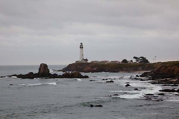 포토 JPG 해외이미지 공원 파도 바다 여행 자연 조류 하늘 휴가 풍경 사람없음 야외 물 여름 태양 맑음 미국 거품 만 서핑 역사 큼 비둘기 캘리포니아 태평양 암초 울퉁불퉁 전국 해외202004 해외포토 자연요소 동물 계절 공공시설 북아메리카 날씨 수상스포츠 크기 생태계 파일형식 이미지허브