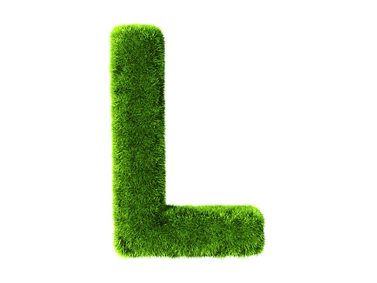 포토 JPG 해외이미지 식물 알파벳 실루엣 백그라운드 컨셉 일러스트 텍스트 학교 자연 추상 건강 창조 미술 잔디 사람없음 초록색 여름 태양 3D 꼬리표 환경 화목 봄 유치원 성장 흰색 신선 보호 편지 심볼 만들기 L 타입 내추럴 고립 생태학 효과 해외202004 해외포토 자연요소 영어 계절 교육 컬러 무늬 모션 문화예술 촬영기법 라벨 디지털합성 생태계 파일형식 이미지허브