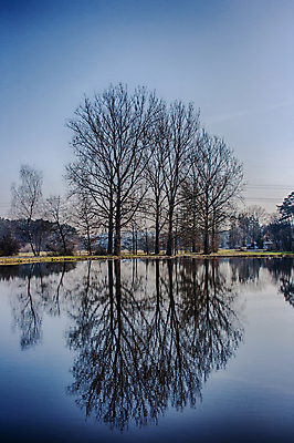 포토 JPG 해외이미지 나무 계절 호수 겨울 자연 하늘 날씨 풍경 사람없음 야외 환경 얼음 추위 시골 해외202004 해외포토 자연요소 식물 생태계 파일형식 이미지허브