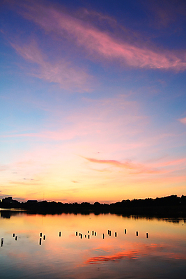 포토 JPG 해외이미지 나무 계절 공원 실루엣 호수 바다 여행 백그라운드 오렌지 자연 하늘 아침 날씨 풍경 사람없음 야외 빨간색 초록색 물 여름 파란색 빛 강 컬러풀 햇빛 태양 반사 노란색 평화 일출 황혼 일몰 봄 새벽 저녁 숲 장면 수평선 해외202004 해외포토 주간 자연요소 식물 공공시설 컬러 컨셉 과일 촬영기법 노을 야간 생태계 파일형식 이미지허브