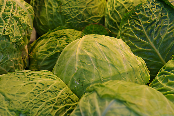 포토 JPG 해외이미지 식물 잡화 음식 백그라운드 잎 채소 건강 요리 사람없음 초록색 신선 시장 상추 유기농 내추럴 채식주의자 비건 해외202004 해외포토 웰빙 컬러 채식 파일형식 이미지허브