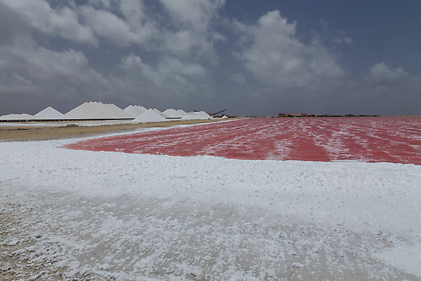포토 JPG 해외이미지 산업 호수 여행 패턴 자연 풍경 사람없음 야외 물 여름 장미 사막 흰색 죽음 플랫 땅 소금 장면 넘어짐 해외202004 해외포토 자연요소 계절 꽃 컬러 무늬 모션 생태계 파일형식 이미지허브