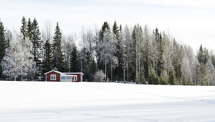 포토 JPG 해외이미지 나무 구름 전통 겨울 밭 자연 주택 스웨덴 사람없음 빨간색 추위 숲 시골집 해외202004 해외포토 자연요소 식물 계절 컬러 농업 북유럽 건물 생태계 파일형식 이미지허브