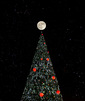 포토 JPG 해외이미지 나무 계절 별 백그라운드 크리스마스 겨울 하늘 휴가 전등 새해 사람없음 야외 장식 파란색 빛 우주 축제 어둠 보름달 축하 소나무 야간 12월 장면 빛망울 해외202004 해외포토 자연요소 식물 기념일 컬러 컨셉 조명 달 날짜 파일형식 이미지허브