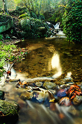 포토 JPG 해외이미지 나무 공원 잎 자연 휴식 풍경 사람없음 야외 초록색 물 강 정원 고요 산책 젖음 흐름 가을 조약돌 바위 나뭇가지 신선 개울 황무지 숲 포르투갈 유기농 내추럴 땅바닥 해외202004 해외포토 자연요소 식물 웰빙 계절 공공시설 유럽 컬러 컨셉 바닥 돌_바위 생태계 파일형식 이미지허브