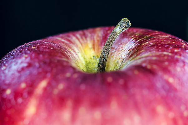 포토 JPG 해외이미지 음식 백그라운드 다이어트 과일 자연 건강 사람없음 빨간색 물 어둠 젖음 흰색 신선 달콤 맛 떨어짐 사과 순수 오브젝트 유기농 내추럴 숙성 채식주의자 해외202004 해외포토 자연요소 웰빙 컬러 컨셉 생태계 채식 파일형식 이미지허브