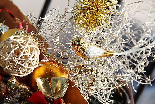 포토 JPG 해외이미지 나무 별 조각 크리스마스 겨울 공 탁자 조류 천사 새로움 주택 사탕 선물 이벤트 사람없음 장식 빨간색 초록색 빛 상자 컬러풀 장난감 화환 견과류 나뭇가지 축하 소나무 눈송이 황금 은색 혼합 연도 서리 마법 원뿔 포장소품 가문비나무 해외202004 해외포토 자연요소 도형 식물 동물 계절 기념일 꽃 컬러 가구 컨셉 포장 디저트 눈_날씨 건물 오브젝트 포장재료 파일형식 이미지허브