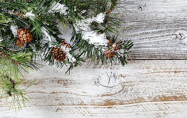 포토 JPG 해외이미지 나무 백그라운드 크리스마스 겨울 휴가 새해 기념 사람없음 목재 장식 초록색 축제 흰색 시골 소나무 12월 오브젝트 솔방울 전나무 원뿔 카피스페이스 해외202004 해외포토 도형 식물 계절 기념일 컬러 재료 공백 날짜 파일형식 이미지허브