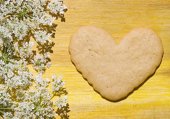 포토 JPG 해외이미지 모양 전통 기념일 음식 백그라운드 크리스마스 패턴 휴가 서브 발렌타인데이 선물 사랑 요리 사람없음 가로 쿠키 케이크 축제 희망 우정 빵집 하트 축하 생일 우아함 달콤 맛 아침식사 12월 설탕 굽기 버터 장인 내추럴 페스츄리 핸드메이드 해외202004 해외포토 감정 빵 컨셉 무늬 데이이벤트 디저트 이벤트 친구 상점 식사 날짜 구이 파일형식 이미지허브