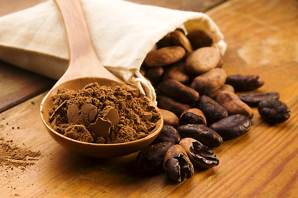 포토 JPG 해외이미지 실내 사람없음 초콜릿 자루 나무숟가락 나무탁자 카카오 코코아가루 카카오닙스 해외202004 해외포토 탁자 디저트 내부 숟가락 견과류 가루 파일형식 이미지허브