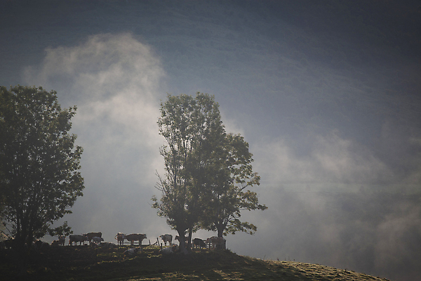 포토 JPG 해외이미지 나무 구름 계절 공원 여행 백그라운드 자연 하늘 아침 휴가 산 풍경 사람없음 야외 초록색 여름 파란색 빛 컬러풀 햇빛 태양 일출 환경 계곡 어둠 황혼 일몰 봄 새벽 안개 가을 흰색 시골 숲 언덕 장면 내추럴 뿌연 전국 절정 환상 해외202004 해외포토 주간 자연요소 식물 공공시설 컬러 컨셉 날씨 노을 생태계 파일형식 이미지허브