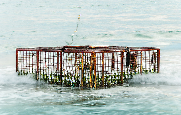 포토 JPG 해외이미지 파도 바다 표면 사람없음 야외 초록색 물 햇빛 반사 갈색 금속 손상 젖음 해조류 쓰레기 폐기물 오브젝트 부식 새장 옛날 해외202004 해외포토 자연요소 컬러 컨셉 재질 태양 해양식물 케이지 파일형식 이미지허브