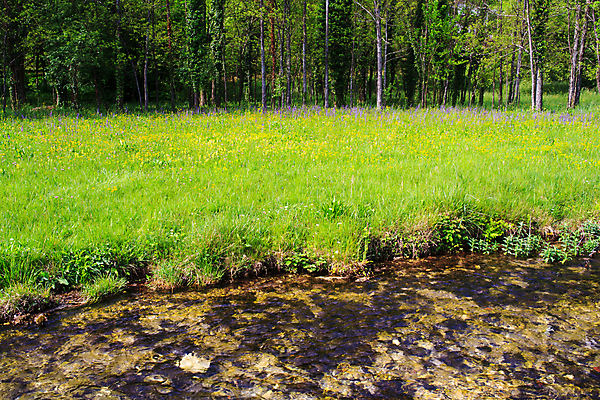 포토 JPG 해외이미지 나무 라이프스타일 유럽 자연 하늘 산 파노라마 풍경 사람없음 야외 물 여름 파란색 강 반사 이탈리아 시골 신선 숲 고도 알프스 지역 전국 해외202004 해외포토 자연요소 식물 계절 나라 컬러 촬영기법 생활 생태계 파일형식 이미지허브