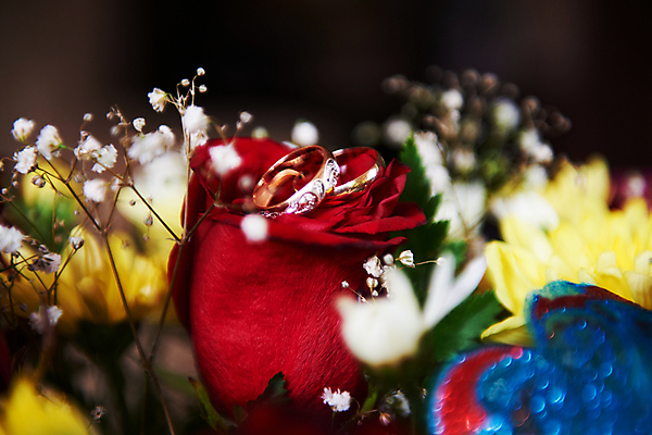 포토 JPG 해외이미지 커플 꽃잎 결혼 잎 2 결혼식 사랑 사람없음 빛 장미 금속 반지 쌍 원형 고급 보석 심볼 열정 해외202004 해외포토 도형 식물 꽃 감정 컨셉 장신구 관계 재질 이벤트 광석 파일형식 이미지허브