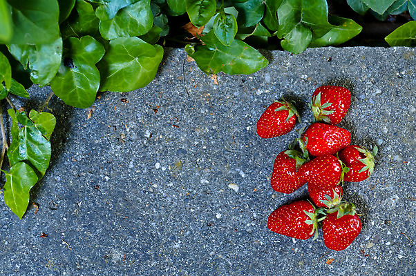포토 JPG 해외이미지 계절 열매 음식 백그라운드 잎 과일 자연 딸기 디저트 건강 사람없음 가로 빨간색 초록색 여름 검은색 활발 회색 바위 신선 사발 플랫 달콤 맛 정상 먹기 오브젝트 상쾌 유기농 심플 위치 내추럴 강렬 고립 숙성 채식주의자 미니멀 해외202004 해외포토 식물 웰빙 감정 컬러 컨셉 모션 돌_바위 사기그릇 생태계 채식 파일형식 이미지허브
