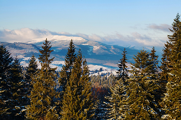 포토 JPG 해외이미지 나무 계절 겨울 자연 하늘 산 풍경 사람없음 파란색 얼음 추위 흰색 신비 서리 장면 천국 해외202004 해외포토 자연요소 식물 컬러 컨셉 생태계 파일형식 이미지허브