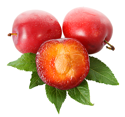 포토 JPG 해외이미지 계절 음료 음식 백그라운드 잎 농업 과일 부분 자연 디저트 건강 씨앗 사람없음 빨간색 초록색 보라색 수확 흰색 신선 그룹 달콤 떨어짐 작음 자르기 먹기 가득함 오브젝트 유기농 날것 자두 내추럴 고립 숙성 채식주의자 해외202004 해외포토 식물 웰빙 산업 컬러 컨셉 모션 맛 크기 생태계 채식 파일형식 이미지허브