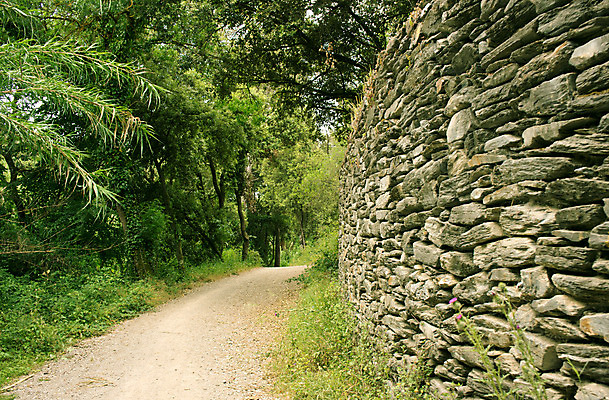 포토 JPG 해외이미지 나무 식물 도로 길 백그라운드 잎 곡선 돌담 풍경 사람없음 야외 초록색 바위 나뭇가지 숲 오솔길 내추럴 삼림지대 선로 해외202004 해외포토 선 컬러 교통시설 담장 돌_바위 파일형식 이미지허브