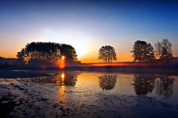 포토 JPG 해외이미지 나무 구름 계절 자연 하늘 아침 날씨 파노라마 풍경 사람없음 야외 가로 물 파란색 빛 햇빛 태양 일출 환경 침묵 황혼 일몰 봄 새벽 안개 달 시골 숲 땅 장면 멀티 평야 해외202004 해외포토 주간 자연요소 식물 컬러 촬영기법 노을 소리 생태계 파일형식 이미지허브