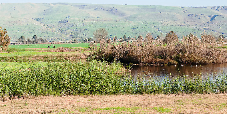 포토 JPG 해외이미지 계절 지구 백그라운드 잎 겨울 밭 농업 자연 조류 하늘 산 씨앗 풍경 사람없음 여름 파란색 농작물 강 마을 환경 봄 수확 성장 가을 시골 뜨거움 땅 만취 트랙 먼지 장면 진흙 가뭄 밀짚 땅바닥 이스라엘 쟁기 팔레스타인 수평선 세련 해외202004 해외포토 식물 동물 산업 컬러 중동 날씨 바닥 짚 생태계 서아시아 술취함 파일형식 이미지허브