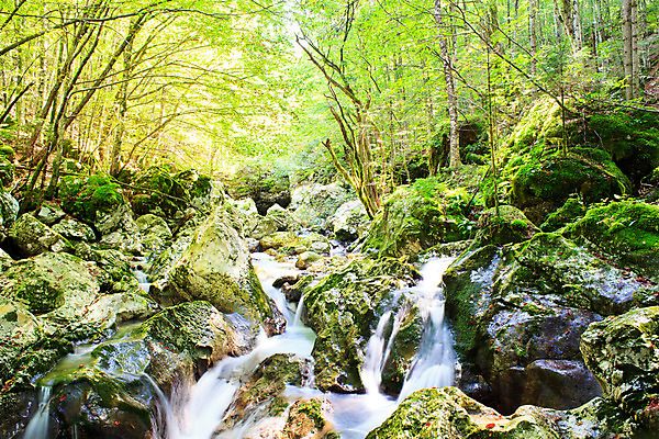 포토 JPG 해외이미지 나무 식물 공원 유럽 여행 백그라운드 잎 모션 자연 산 건강 풍경 사람없음 야외 목재 초록색 물 여름 강 환경 폭포 젖음 흐름 가을 바위 신선 숲 내추럴 석회암 슬로베니아 전국 해외202004 해외포토 자연요소 계절 공공시설 나라 컬러 컨셉 재료 암석 돌_바위 생태계 파일형식 이미지허브