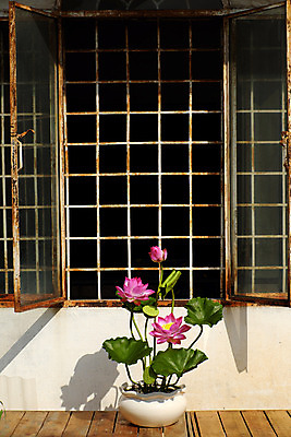 포토 JPG 해외이미지 모양 꽃잎 꽃 화분 분홍색 백그라운드 잎 창문 추상 연꽃 미술 사람없음 장식 문 정원 놀람 활발 벚꽃 항아리 상품 그늘 즐거움 만족 베트남 점토 DIY 인공 핸드메이드 해외202004 해외포토 식물 감정 컬러 컨셉 무늬 문화예술 표정 취미 동남아시아 도자기 파일형식 이미지허브