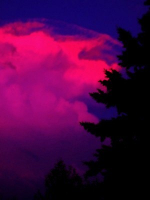 포토 JPG 해외이미지 나무 구름 분홍색 자연 하늘 날씨 풍경 사람없음 야외 파란색 컬러풀 환경 보라색 어둠 일몰 신선 황무지 우아함 보호 위험 무서움 윤곽 폭풍 침엽수 내추럴 심각 웅장함 폭풍우 혼란 힘찬 해외202004 해외포토 자연요소 식물 감정 컬러 컨셉 노을 비_날씨 자연재해 생태계 파일형식 이미지허브