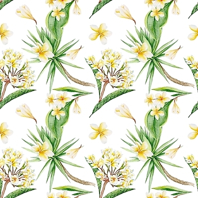 포토 JPG 해외이미지 식물 디자인 꽃 백그라운드 잎 꽃무늬 패턴 일러스트 태국 자연 벽지 미술 사람없음 초록색 노란색 유행 스파 봄 수확 벚꽃 직물 인쇄 에코 질감 하와이 발리 캘리포니아 목련 이국적 하와이인 히비스커스 알로하 해외202004 해외일러스트 외국인 계절 아시아 컬러 섬 무늬 농업 문화예술 환경 미국 인사 생태계 인도네시아 파일형식 이미지허브