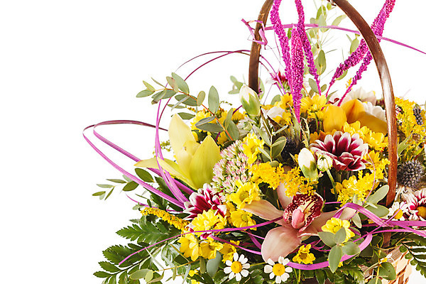 포토 JPG 해외이미지 식물 꽃잎 꽃 분홍색 꽃다발 결혼 잎 꽃무늬 엄마 국화 발렌타인데이 선물 사랑 사람없음 장식 초록색 파란색 갈색 바구니 꽃병 보라색 봄 벚꽃 흰색 신선 난초 다발 데이지 수국 약혼 해외202004 해외포토 계절 감정 컬러 무늬 가족 데이이벤트 이벤트 약속 파일형식 이미지허브